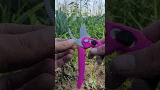 Cutter For Plants Cutting