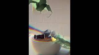 Skelly In The Jacuzzi Short Bianca Noir
