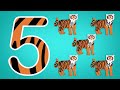 zoo