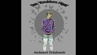 Mehmet Tokdemir - Ben Yoruldum Hayat (Cover)