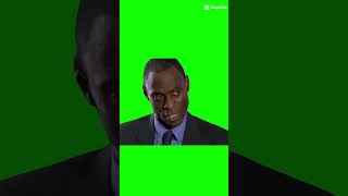 This Is Bull Green Screen