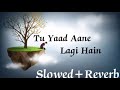 Tirchi Topi Wale || Sad Version || (Slowed+Reverb) Old Song ||  Amit Kumar & Sapna  Mukharji ||