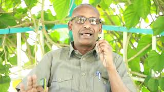 Basabaka G Awdal Oo Ka Hadlay Barnamijka Shaqo Qaran Beeniyay In Lacag Lagu Basabaka G Awdal Oo Ka Hadlay Barnamijka Shaqo Qaran Beeniyay In Lacag Lagu