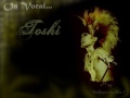 Toshi (X-Japan) ~The Best Ballad Collection~