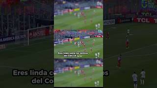 ntgp1-twHA0 Video Image