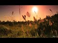 Best instrumental music 2017 – best piano instrumental ever – piano music relaxing 2017