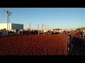 Brent Bennett performance horses... My calf horse I broke, started and trained.... "Cat"..