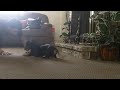 PuppyCop in "The Chase"