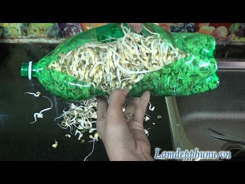 Cách làm GIÁ ĐỖ bằng Chai nhựa, chế dụng cụ dùng nhiều lần tiện lợi