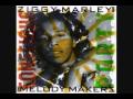 Ziggy Marley and the Melody Makers- Conscious Party