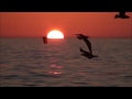 Ambrosia Holding On To Yesterday Lyrics Hd images Ambrosia Holding On To Yesterday Lyrics Hd