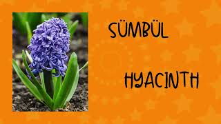 Çocuklar İçin İngilizce Öğrenme Videoları Çiçekler