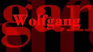Video Darkness fell Wolfgang
