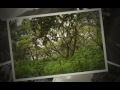 Mt Elgon Spring 2013 slideshow