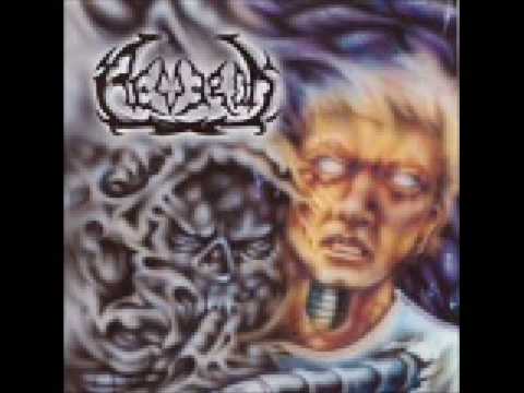 Fields Of Aeveron Video