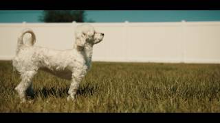 Red Raven 4.5K Day 1 Test Footage 120Fps