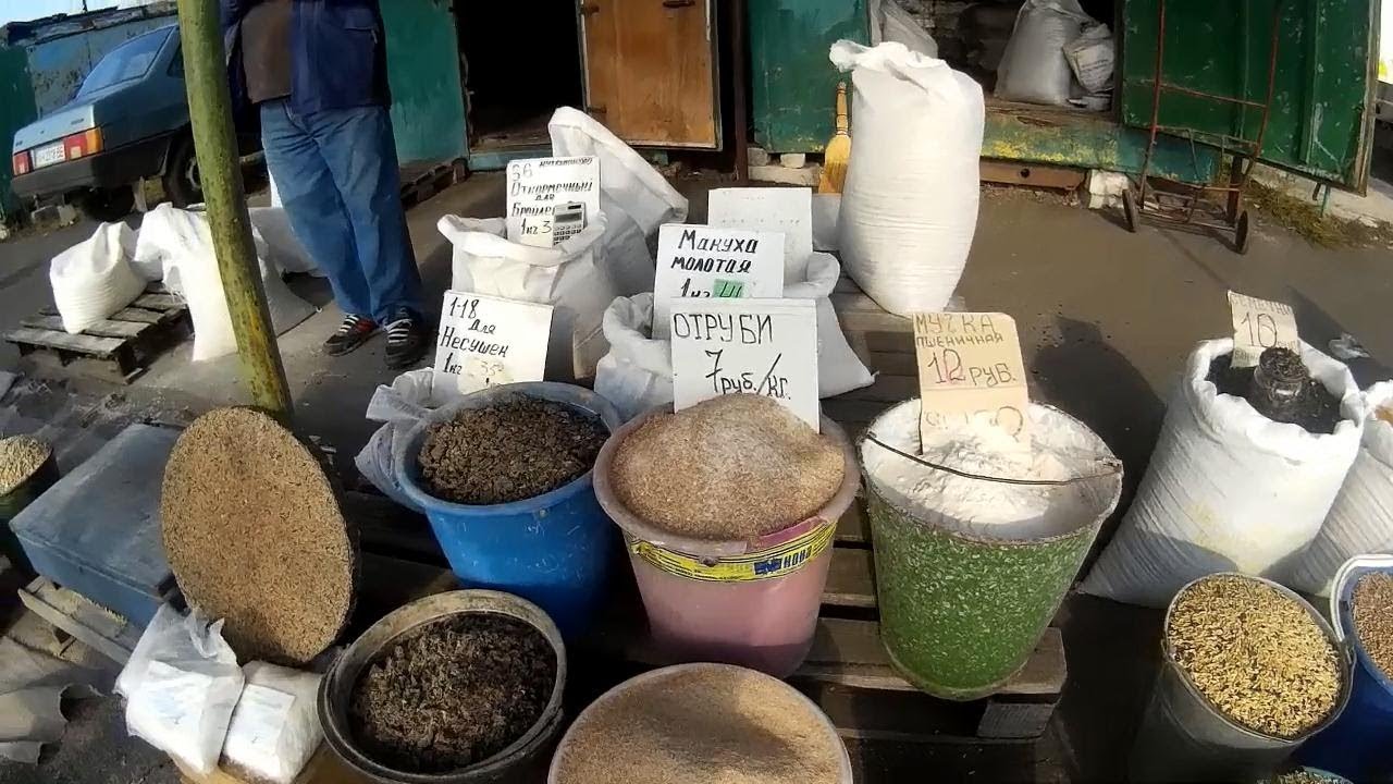 Зерносмесь для кур несушек Зерносмесь для кур несушек