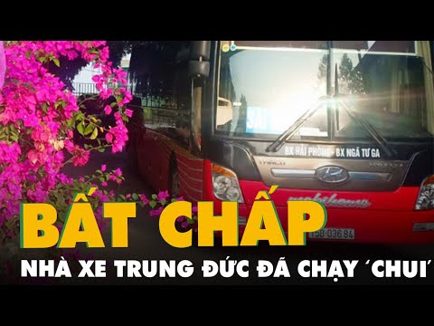 Hải Phòng xác định nhà xe Trung Đức đã chạy ‘chui’ 4 chuyến Nam - Bắc