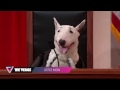 John Oliver's all-dog Supreme Court argues Aereo