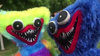 Real Huggy Wuggy Dies In The Park? Poppy Playtime With Plush Version