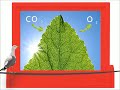 sustainability