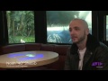 Shebib