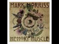 Mark Morriss (The Bluetones) - Alcoholiday Teenage Fanclub cover
