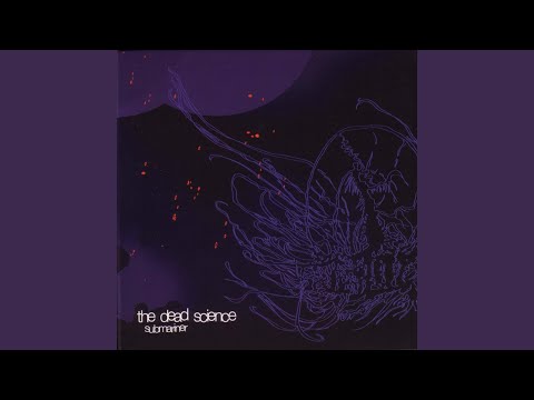 Unseeing Eye Video