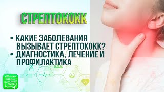 Опасность Стрептококковой Инфекции | Здорово Здоровым Быть