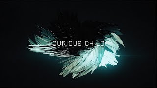 Watch Prince Curious Child video