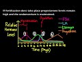 lutenizing hormone