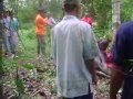 image Pembantaian Yang Gak Kuat Jgn Lihat