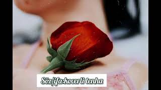 Aynur Adına Şeir 2022