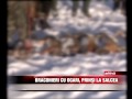 image Braconieri Cu Ogari Prinsi La Salcea