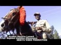 Dejene Jalata - Assaffaa Shaaroo lammii (Oromo Music)
