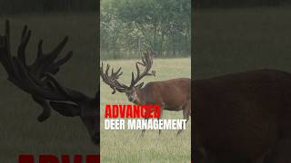 Advanced Deer Management Course Is Now Available Via The S&H Academy.