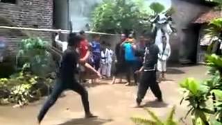 Psht Vs Ikspi Kera Sakti