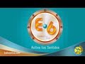 BAILEACTIVO | ¿Mami Qué Será Lo Que Quiere El Negro?