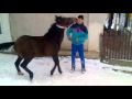 manz de vanzare (5 luni)emi