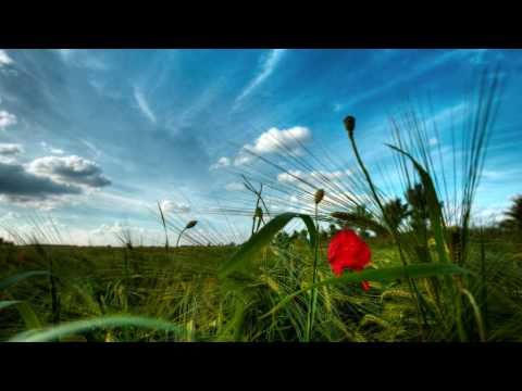 Un Cur éclaté Video