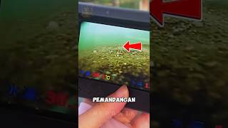 Kamera Ini Rekam Rahasia Dasar Sungai