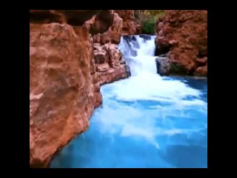 Noxious Emotion - Count Zero Noxious Emotion - Count Zero
