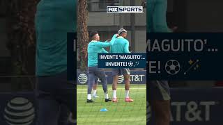 nyFxFl8m454 Video Image