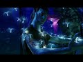bio luminescence