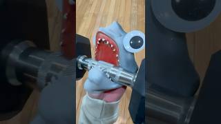 Shark Puppet Gets Huge Glowup