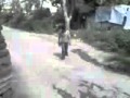 fokaha 2010 mp4