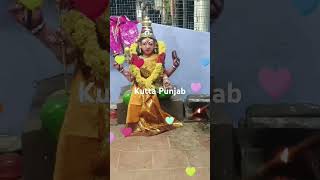 Kutta Punjab