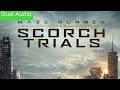 MAZE RUNNER THE SCORCH TRIALS 2015 DUAL AUDIO HINDI 720P | Hollywood movies | action movies