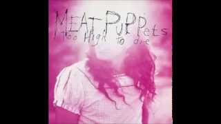 Watch Meat Puppets Station video