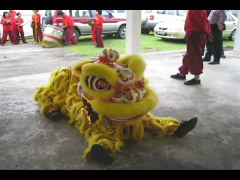 Lion Dance Chinese New Year. Chinese New Year celebration